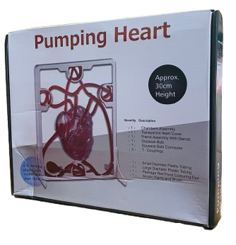 Pumping Heart