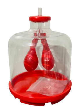 Lung Demonstration Model