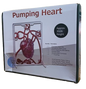 Pumping Heart